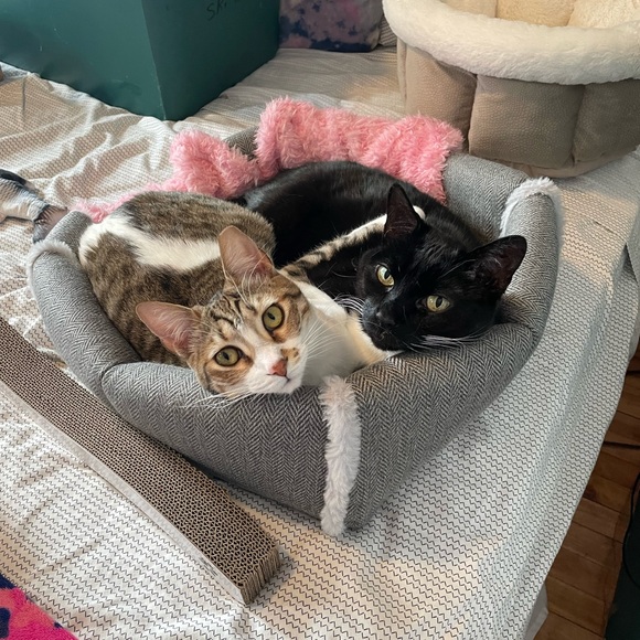 Meet the Posher! - Picture 8 of 13